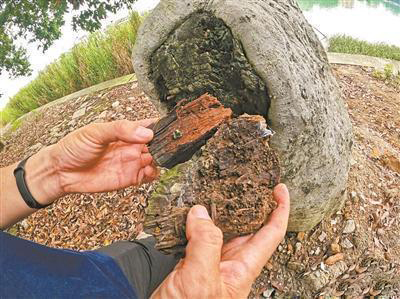 圖片關(guān)鍵詞 圖片關(guān)鍵詞