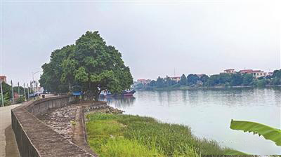 圖片關(guān)鍵詞 圖片關(guān)鍵詞