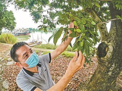 圖片關(guān)鍵詞 圖片關(guān)鍵詞