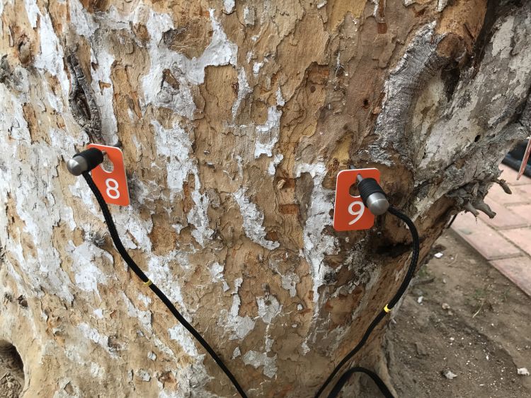 圖片關(guān)鍵詞 圖片關(guān)鍵詞