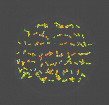 圖片關鍵詞 圖片關鍵詞