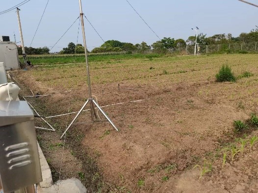 圖片關(guān)鍵詞