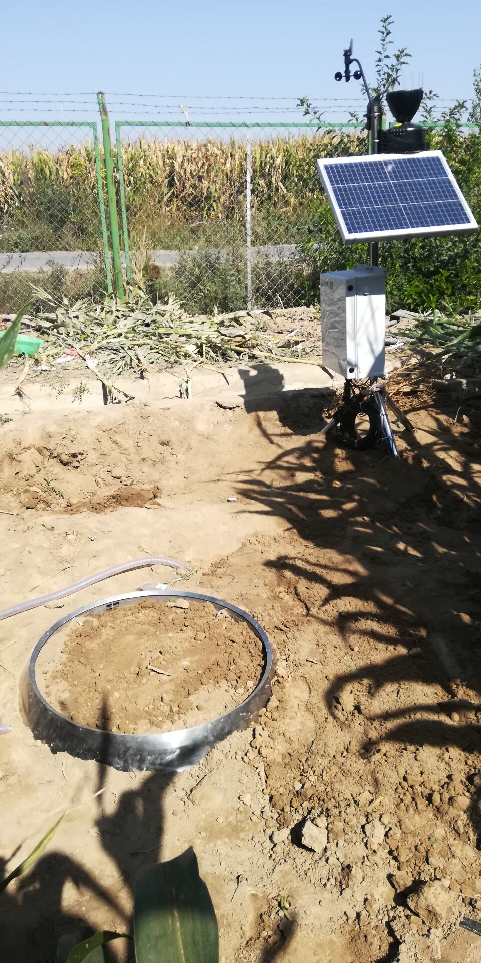 圖片關(guān)鍵詞