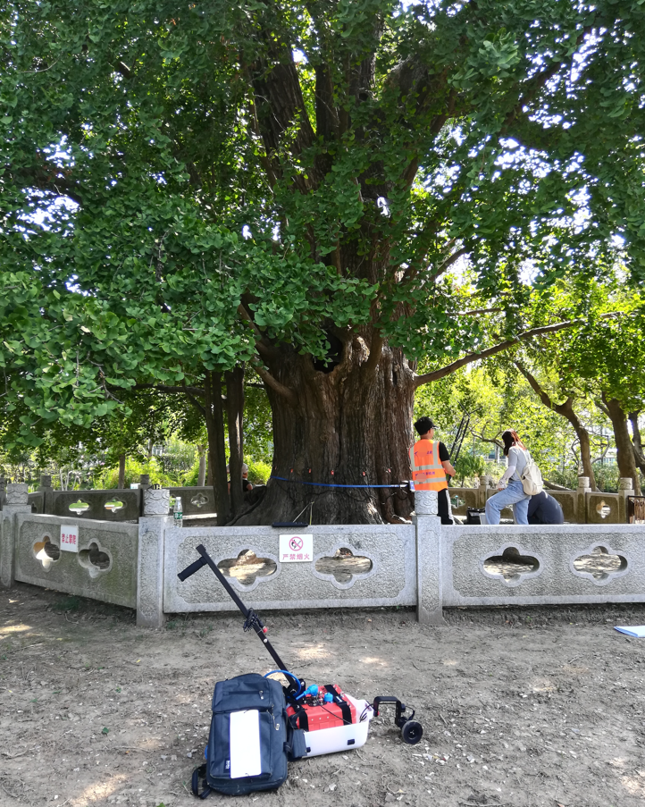 TRU 樹木雷達(dá) TRU 樹木雷達(dá)