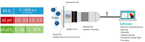 熒光成像儀 熒光成像儀