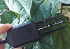 土壤水分溫度電導(dǎo)率傳感器 土壤水分溫度電導(dǎo)率傳感器