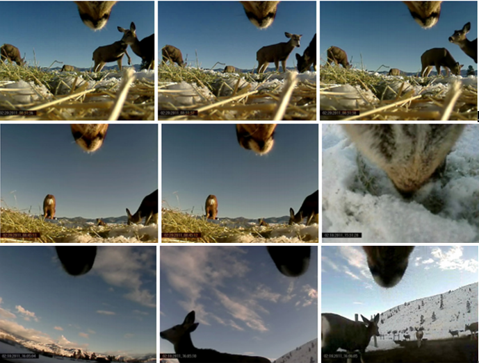 圖片關(guān)鍵詞