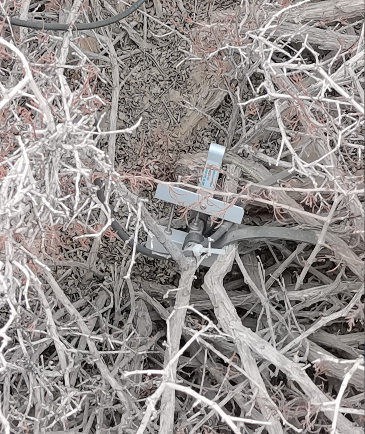 植物莖稈變化測量