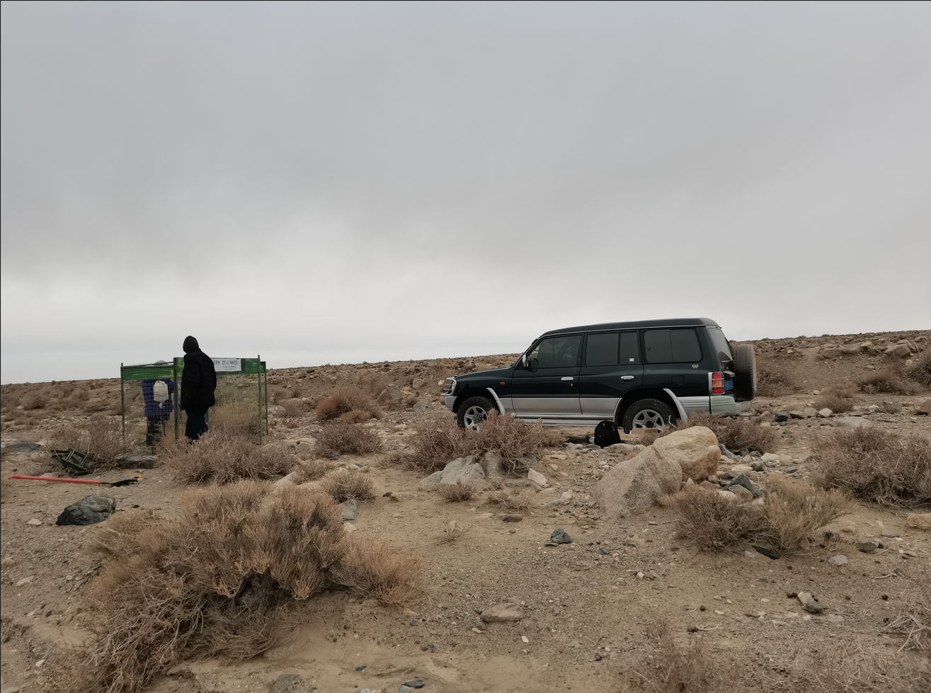  敦煌肅北植物研究