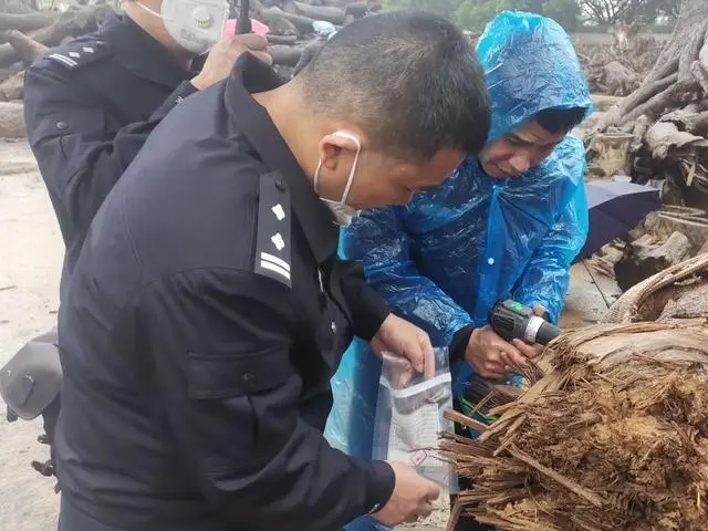 圖片關(guān)鍵詞