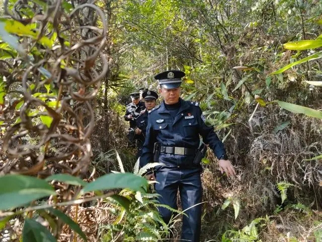 圖片關(guān)鍵詞