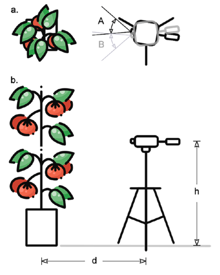 圖片關(guān)鍵詞