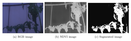 圖片關(guān)鍵詞