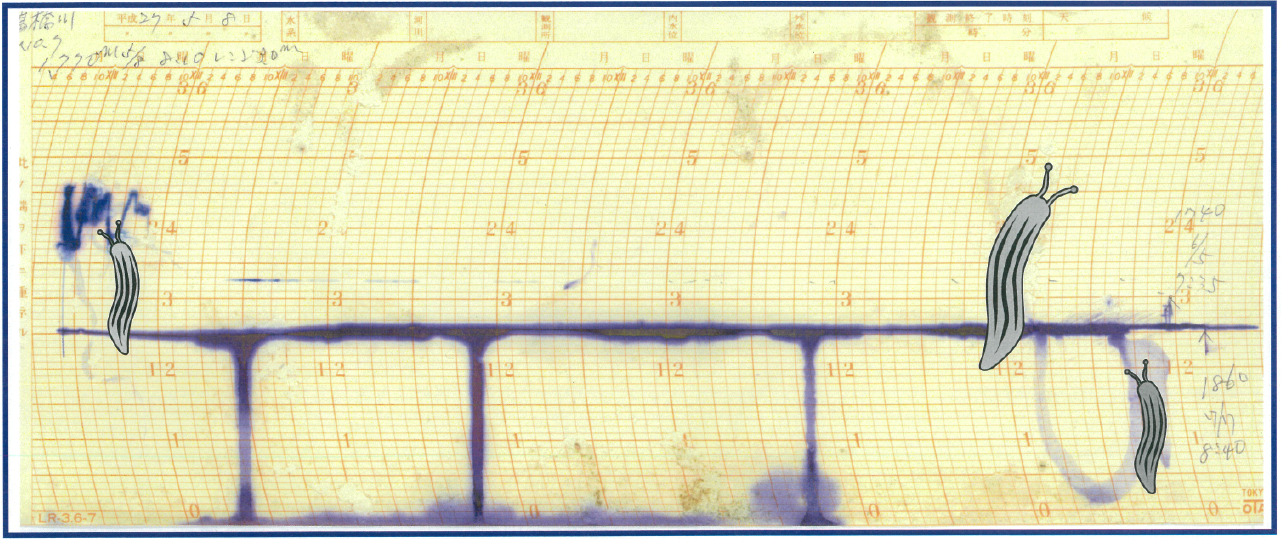 圖片關(guān)鍵詞