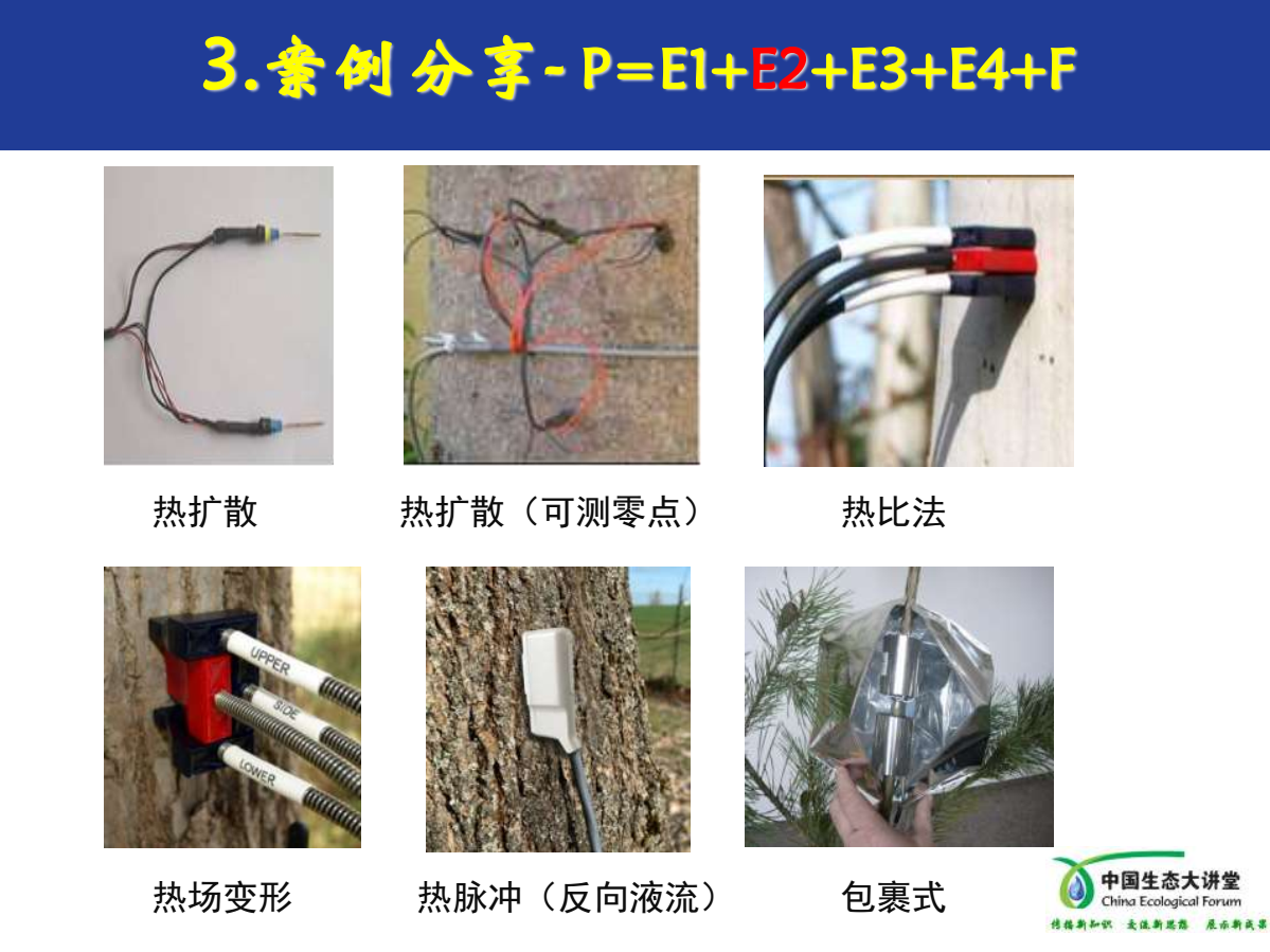 樹干液流測量 樹干液流測量