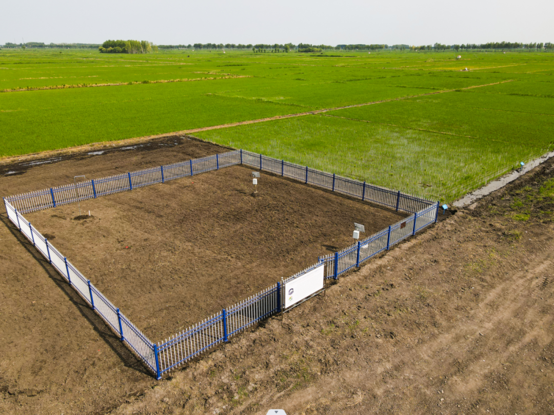 黑河觀測試驗場