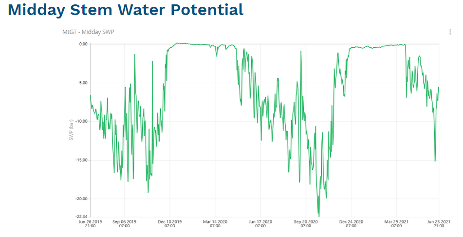 原位莖桿水勢(shì)測(cè)量儀