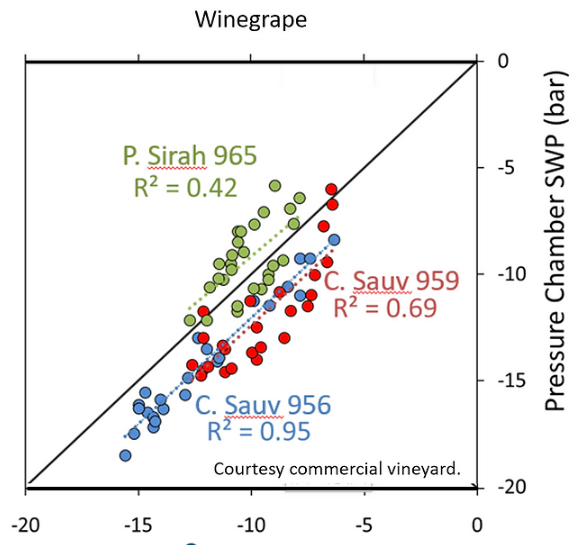 原位莖桿水勢(shì)測(cè)量儀