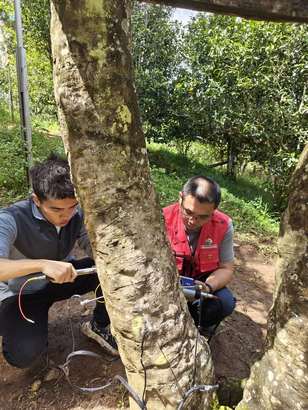 圖片關(guān)鍵詞 圖片關(guān)鍵詞