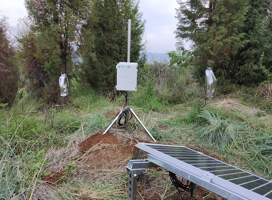 植物液流監(jiān)測(cè)