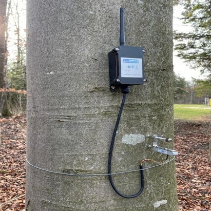 植物無(wú)線數(shù)據(jù)傳輸測(cè)量系統(tǒng) 植物無(wú)線數(shù)據(jù)傳輸測(cè)量系統(tǒng)