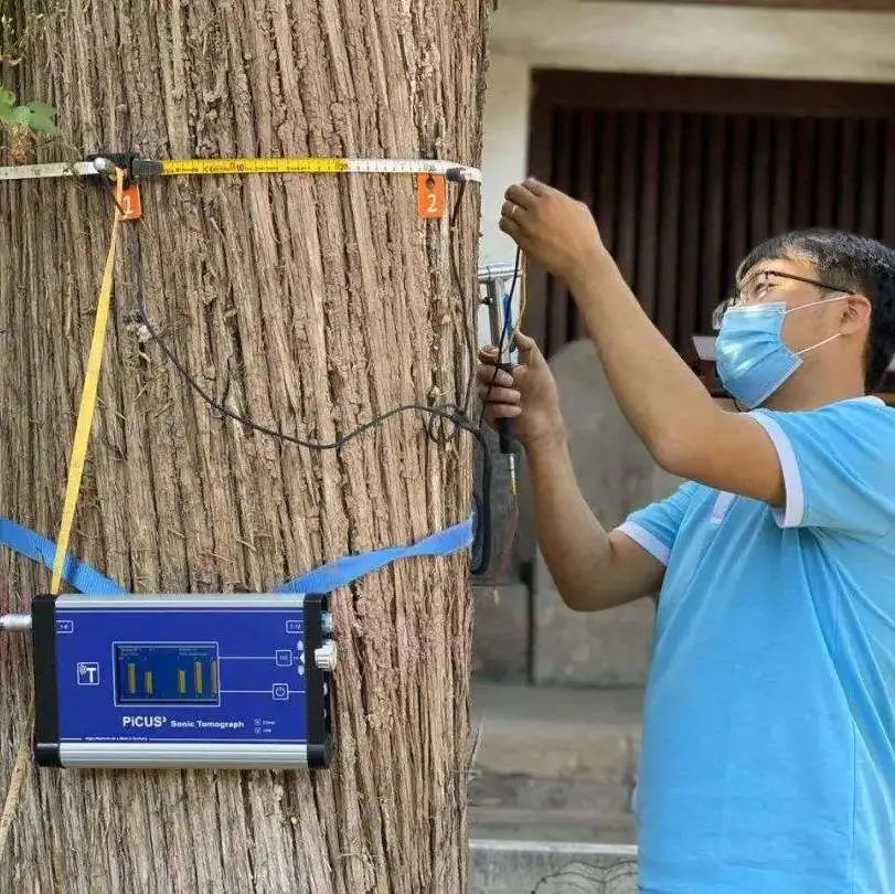 1700545376391303.jpg 1700545376391303.jpg