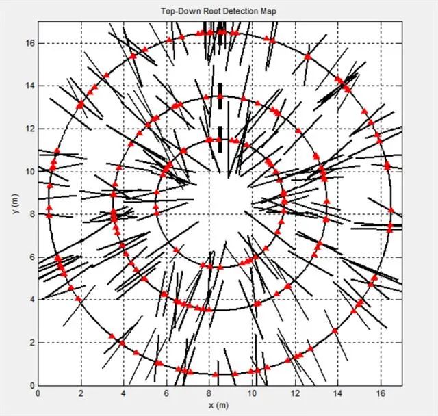 根系俯視圖 根系俯視圖