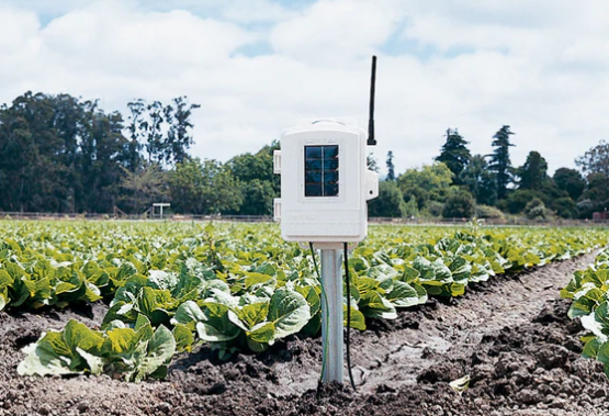 土壤溫濕度監(jiān)測(cè)