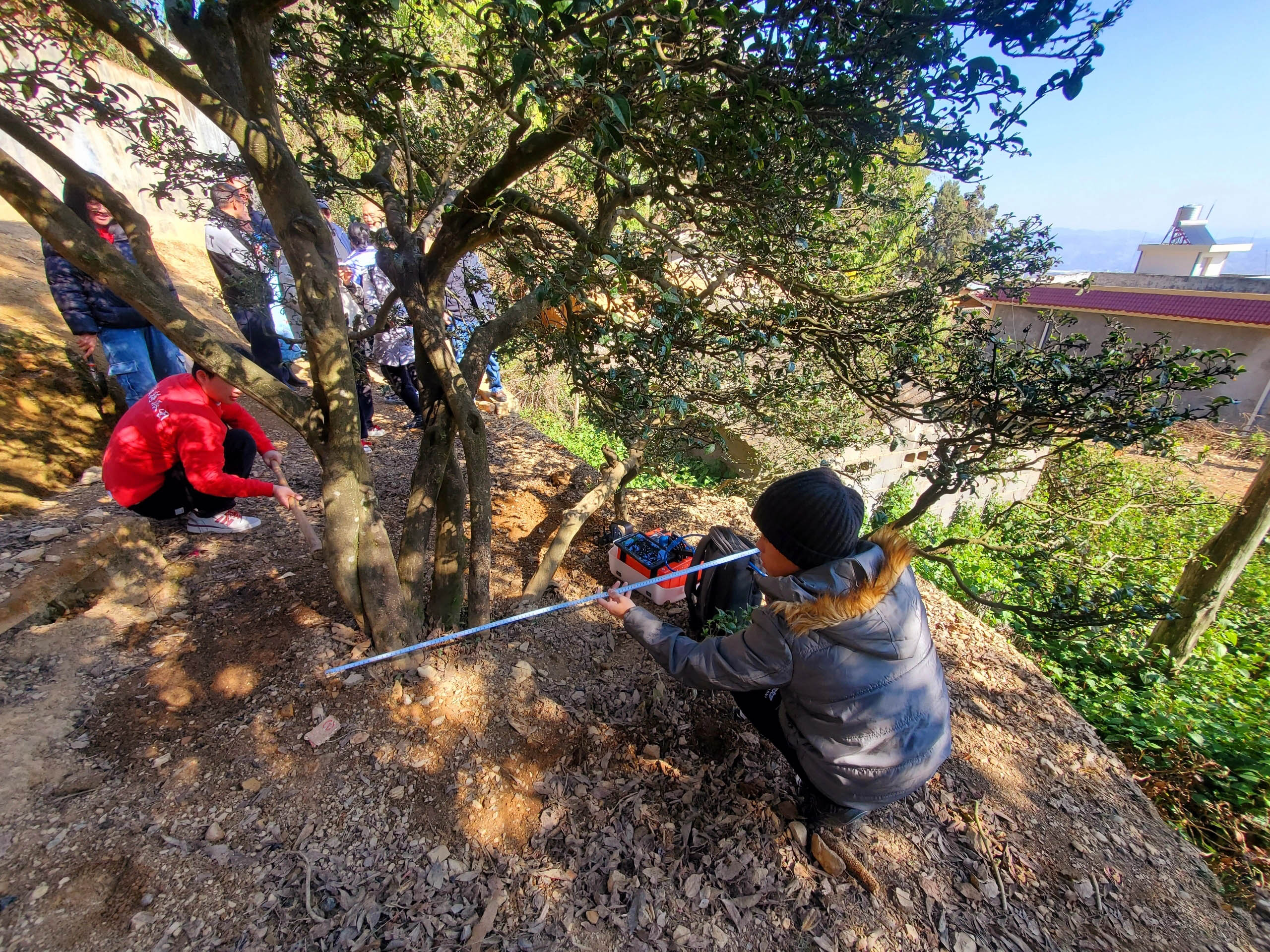 圖片關(guān)鍵詞