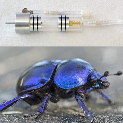 昆蟲動物呼吸作用測量系統(tǒng) 昆蟲動物呼吸作用測量系統(tǒng)