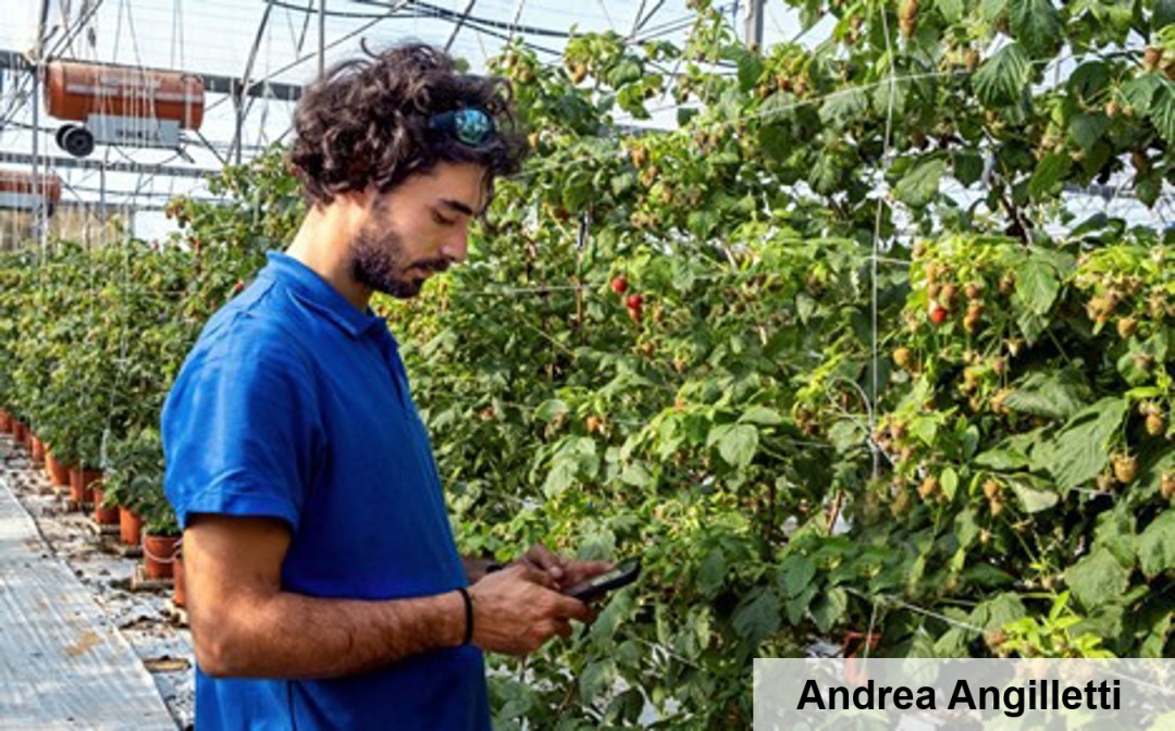 圖片關鍵詞 圖片關鍵詞