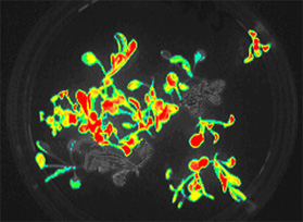 1709282654654783.jpg 1709282654654783.jpg