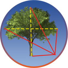 圖片關(guān)鍵詞 圖片關(guān)鍵詞