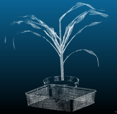 植物表型成像系統(tǒng) 植物表型成像系統(tǒng)