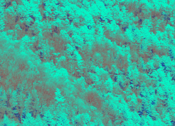 圖片關(guān)鍵詞 圖片關(guān)鍵詞