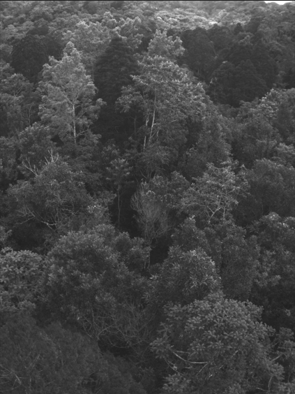 圖片關(guān)鍵詞 圖片關(guān)鍵詞