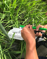 植物光合作用速率測(cè)量?jī)x 植物光合作用速率測(cè)量?jī)x