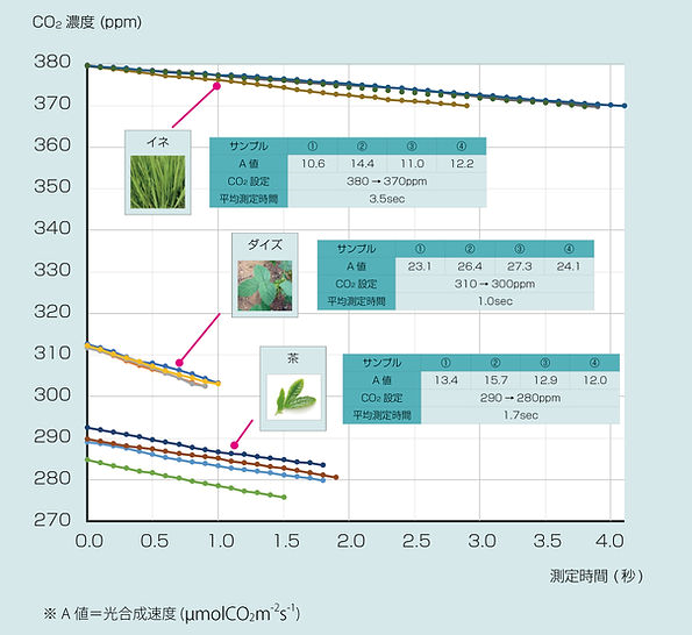 植物光合作用速率測(cè)量?jī)x 植物光合作用速率測(cè)量?jī)x