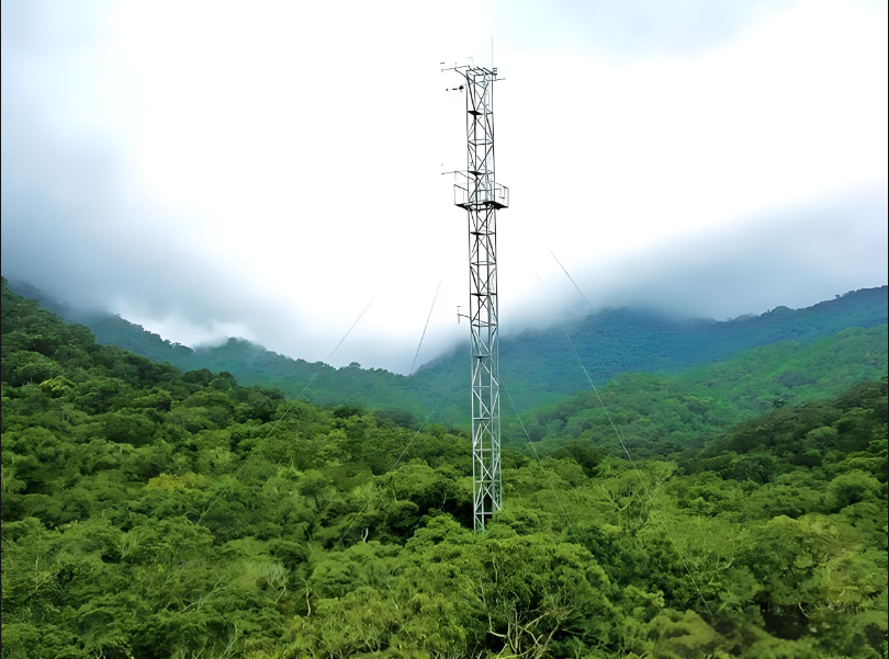 森林物候監(jiān)測(cè)解決方案 森林物候監(jiān)測(cè)解決方案