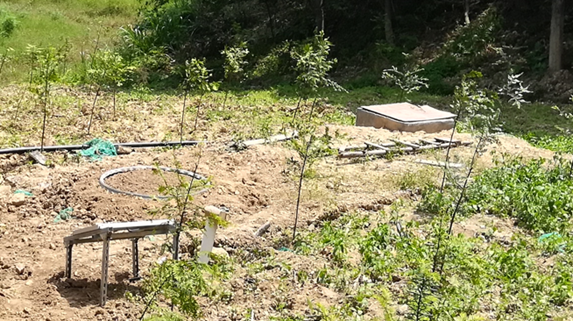 點(diǎn)將土壤蒸滲系統(tǒng) 點(diǎn)將土壤蒸滲系統(tǒng)