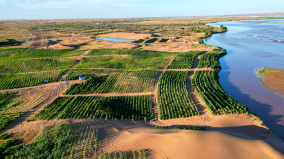 圖片關(guān)鍵詞
