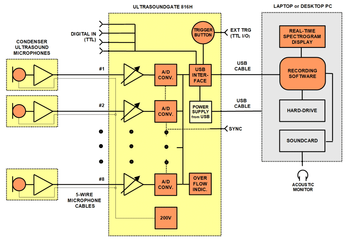 動物聲音分析系統(tǒng)