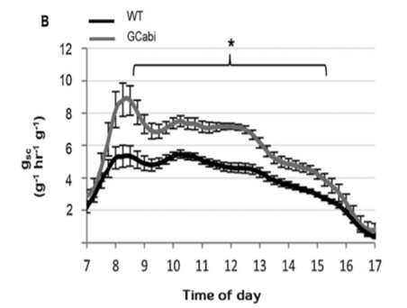植物對環(huán)境脅迫的動態(tài)相應(yīng)