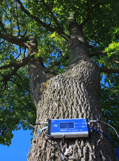 PiCUS 3彈性波樹木斷層診斷儀 PiCUS 3彈性波樹木斷層診斷儀