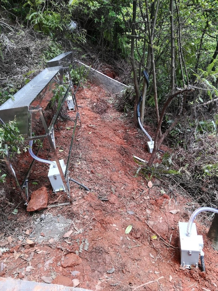 林間穿透雨測量 林間穿透雨測量