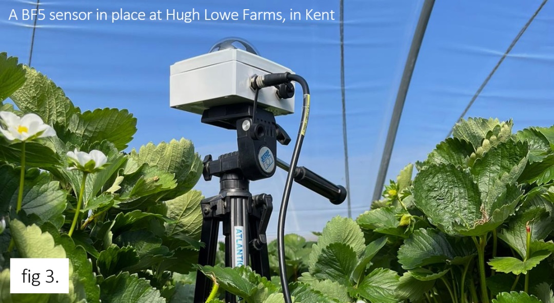 BF5日照輻射傳感器