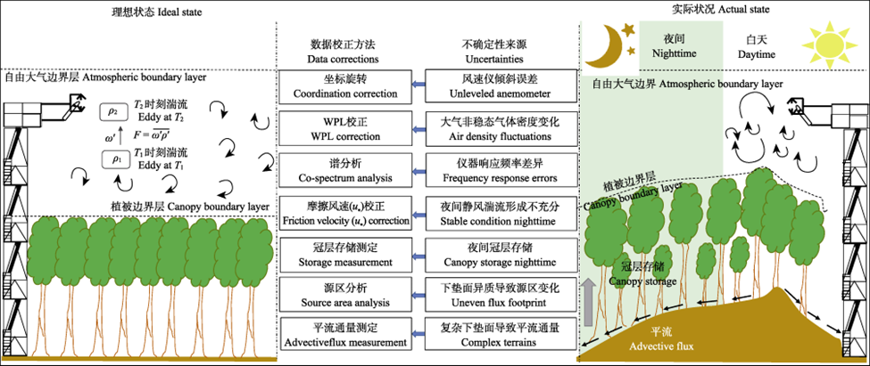 渦度相關(guān)技術(shù)通量觀測示意圖 渦度相關(guān)技術(shù)通量觀測示意圖