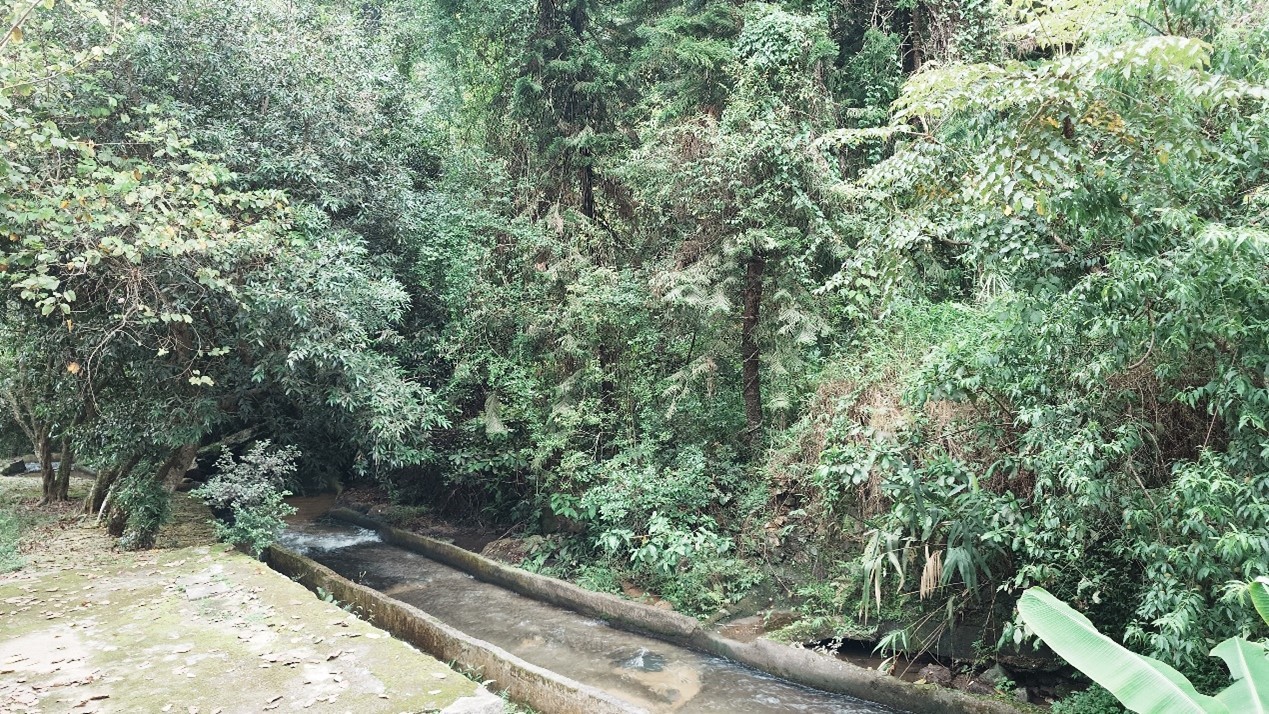 桂山風(fēng)景區(qū) 桂山風(fēng)景區(qū)