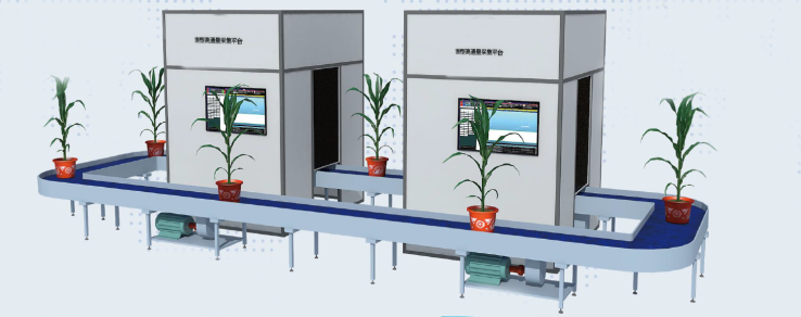 高通量植物表型測(cè)量系統(tǒng) 高通量植物表型測(cè)量系統(tǒng)