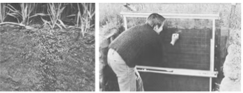 剖面墻法 剖面墻法